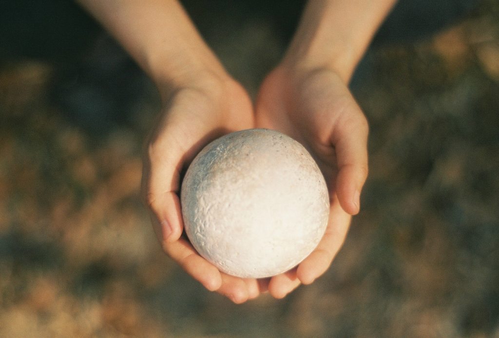portfolio-item